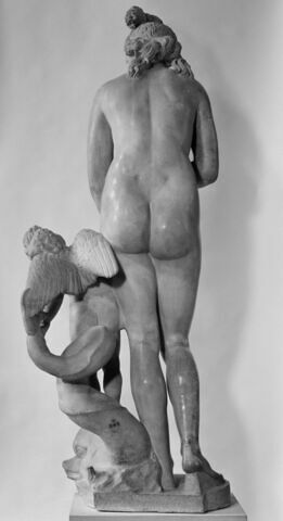 Aphrodite du type de la Vénus du Capitole, image 9/9