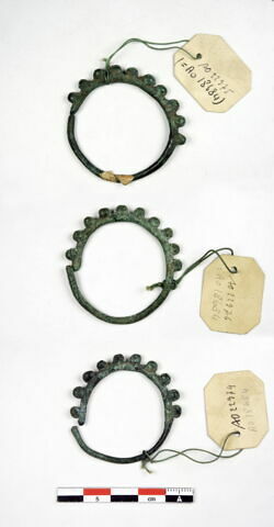 anneau ; boucle d'oreille